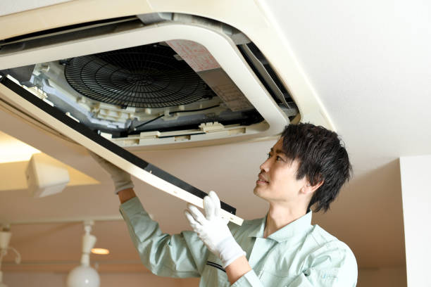 Best Air Duct Mold Removal  in Green Bay, WI